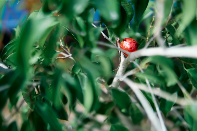 oeuf de pâques caché dans un arbre